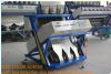 nuts color sorter with high capacity and high accuracy